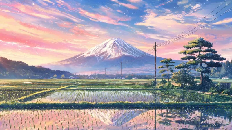 微服务架构发展历程：从单体到云原生